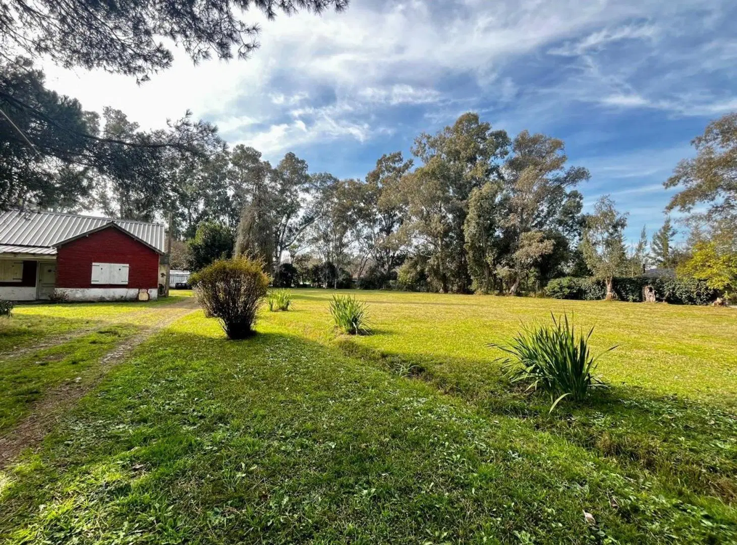 VENTA QUINTA 8066M2 C/ARBOLEDA HISTÓRICA, EL PAT0 5