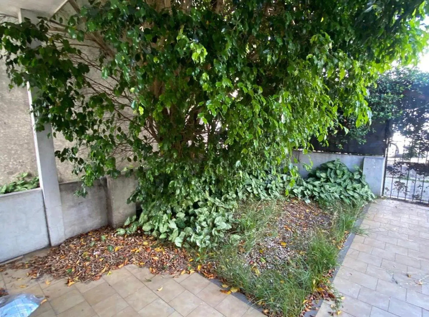 VENTA 2 CASAS AV. BLGRANO 6000, WILDE 4