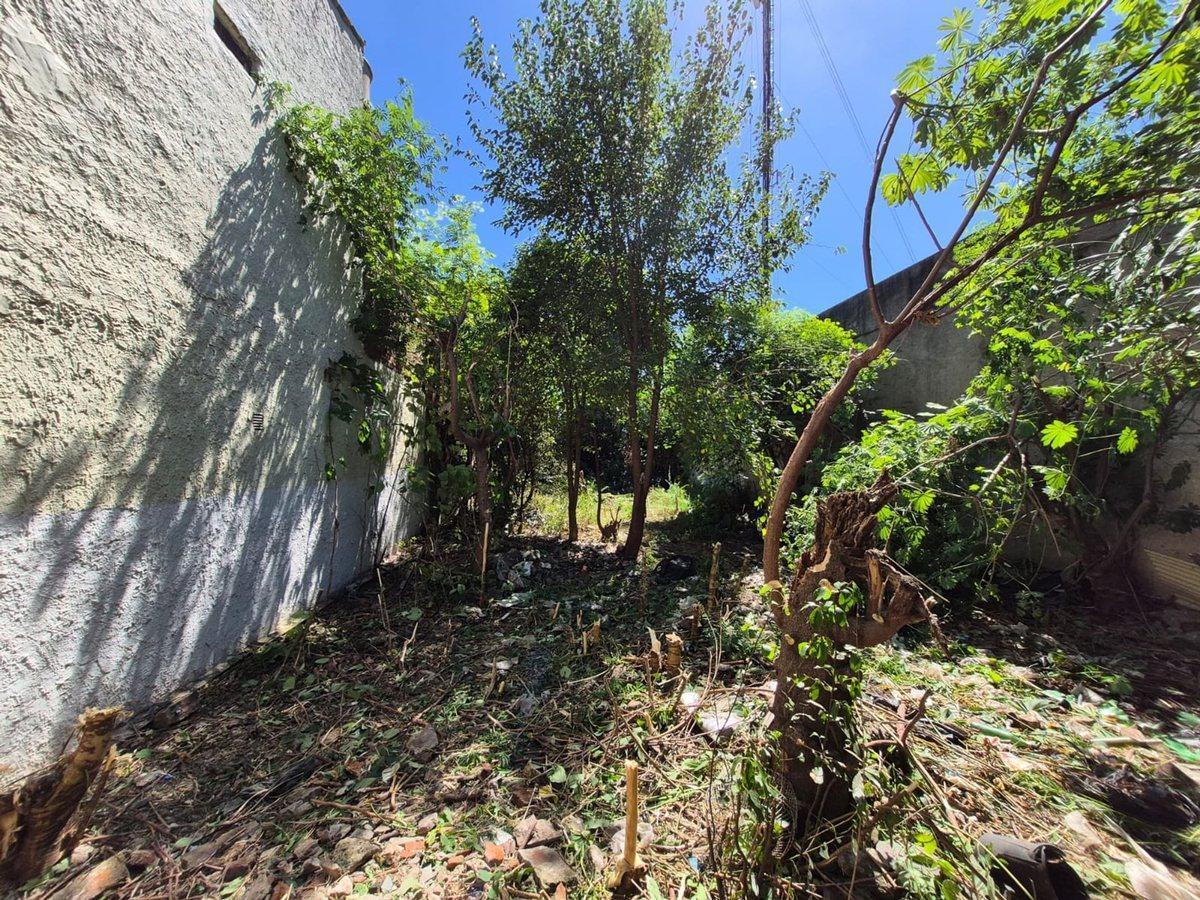 Foto de VENTA LOTE DE 10x29 - 290 m2 - VILLA DOMINICO, imagen 1