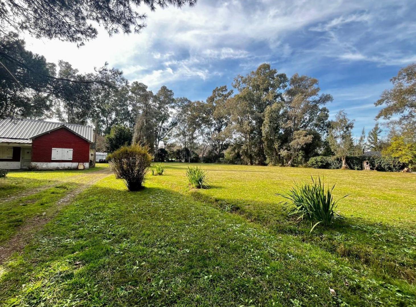 Foto de VENTA QUINTA 8066M2 EL PAT0 ARBOLEDA HISTÓRICA, imagen 1
