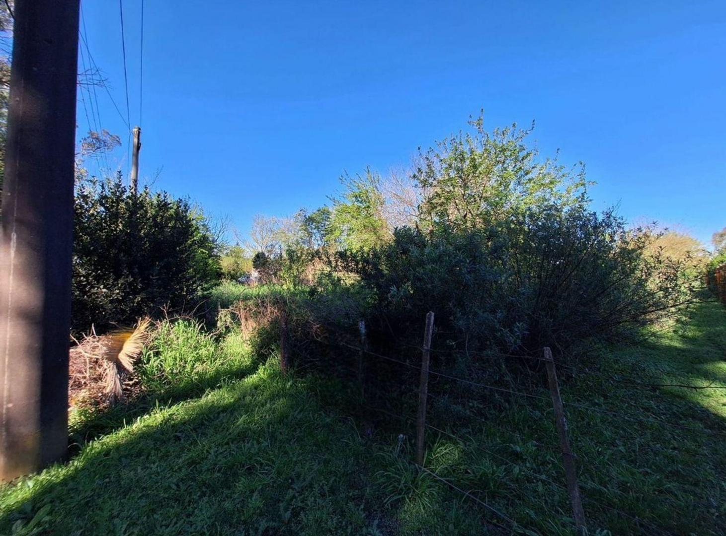 Foto de VENTA LOTE ARTURO SEGUI, imagen 3