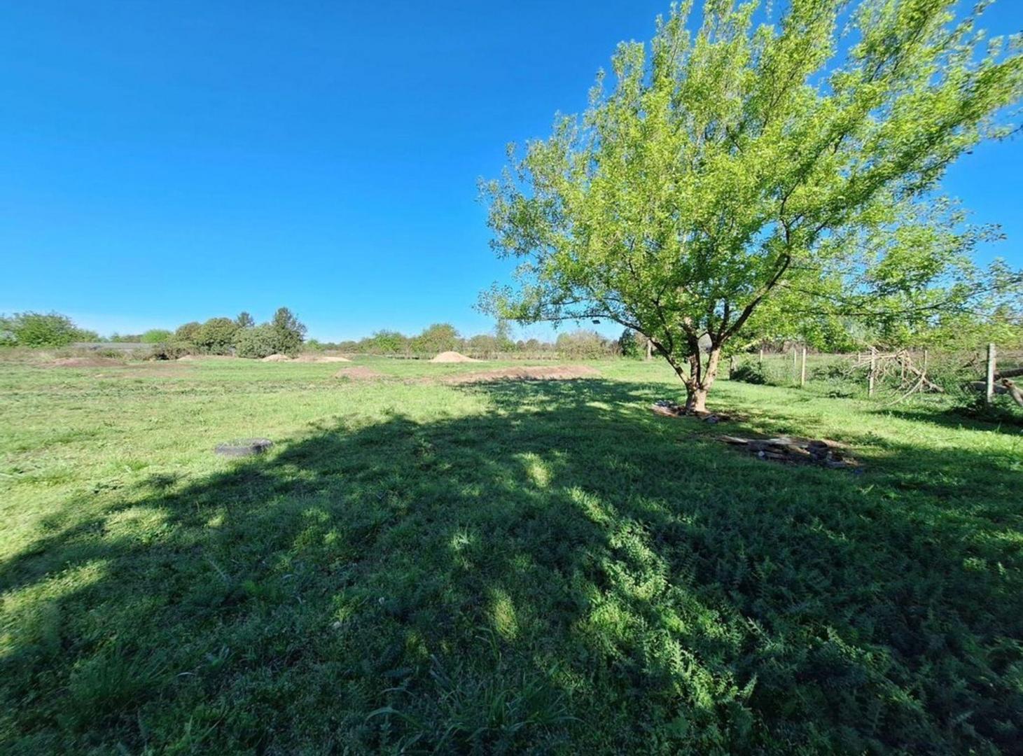 Foto de VENTA LOTE ARTURO SEGUI, imagen 4