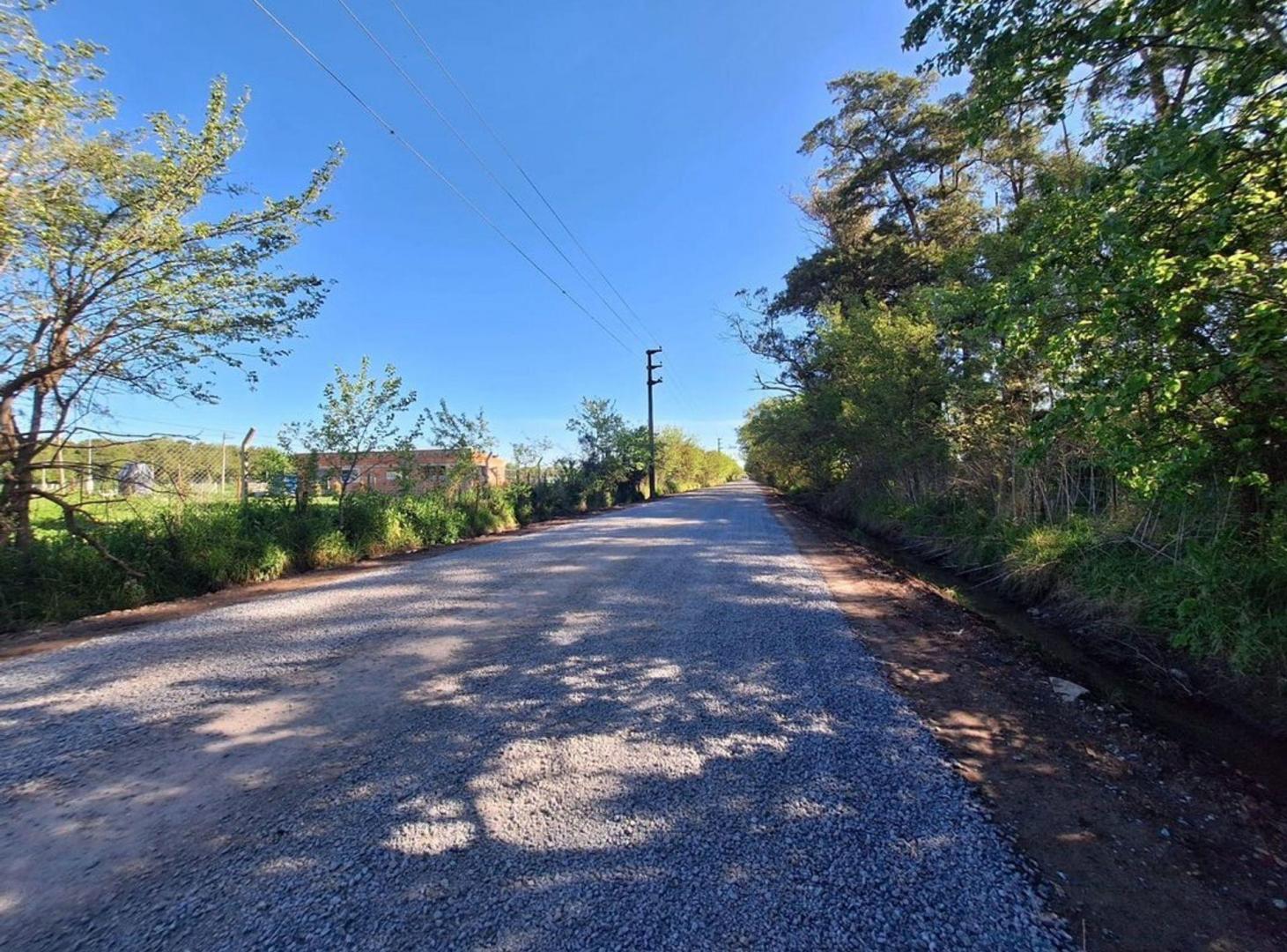 Foto de VENTA LOTE ARTURO SEGUI, imagen 1