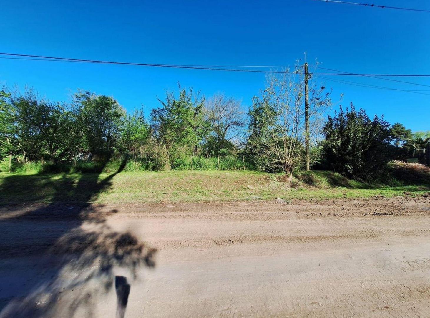 Foto de VENTA LOTE ARTURO SEGUI, imagen 2