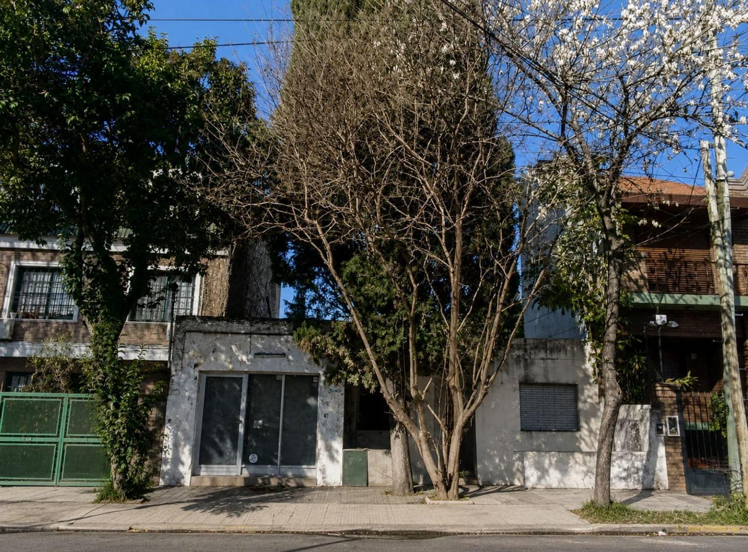Foto de Venta Olivos Terreno 230 m2 Desarrollo, imagen 5