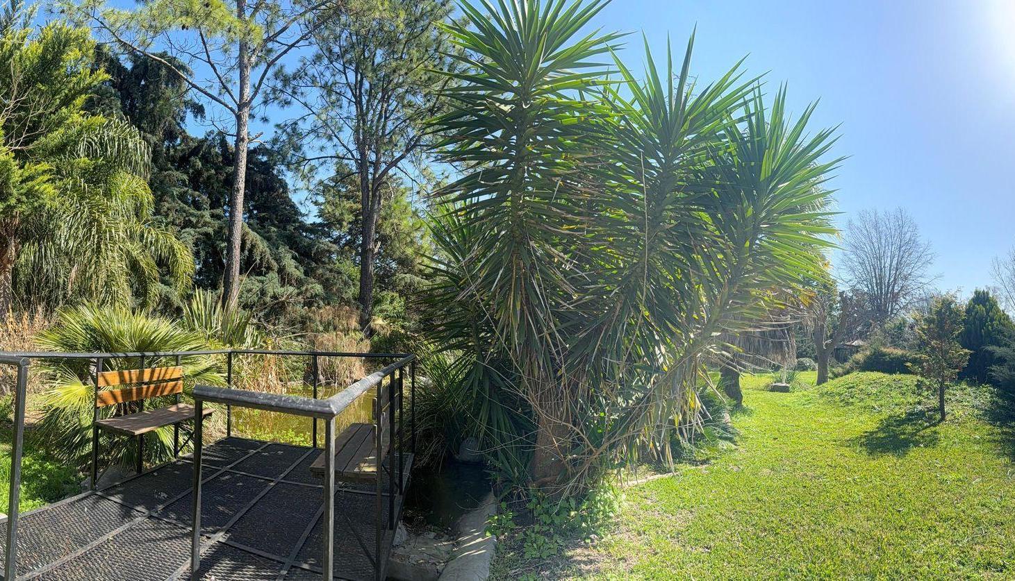 Foto de VENTA CASA QUINTA EL PATO, imagen 4