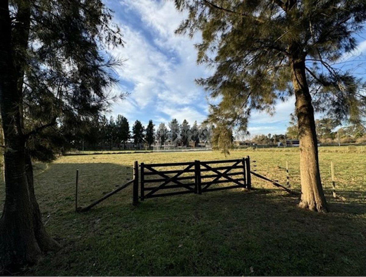 Foto de VENTA DE CHACRA EN BARRIO MALVINAS 2 BRANDSEN, imagen 1