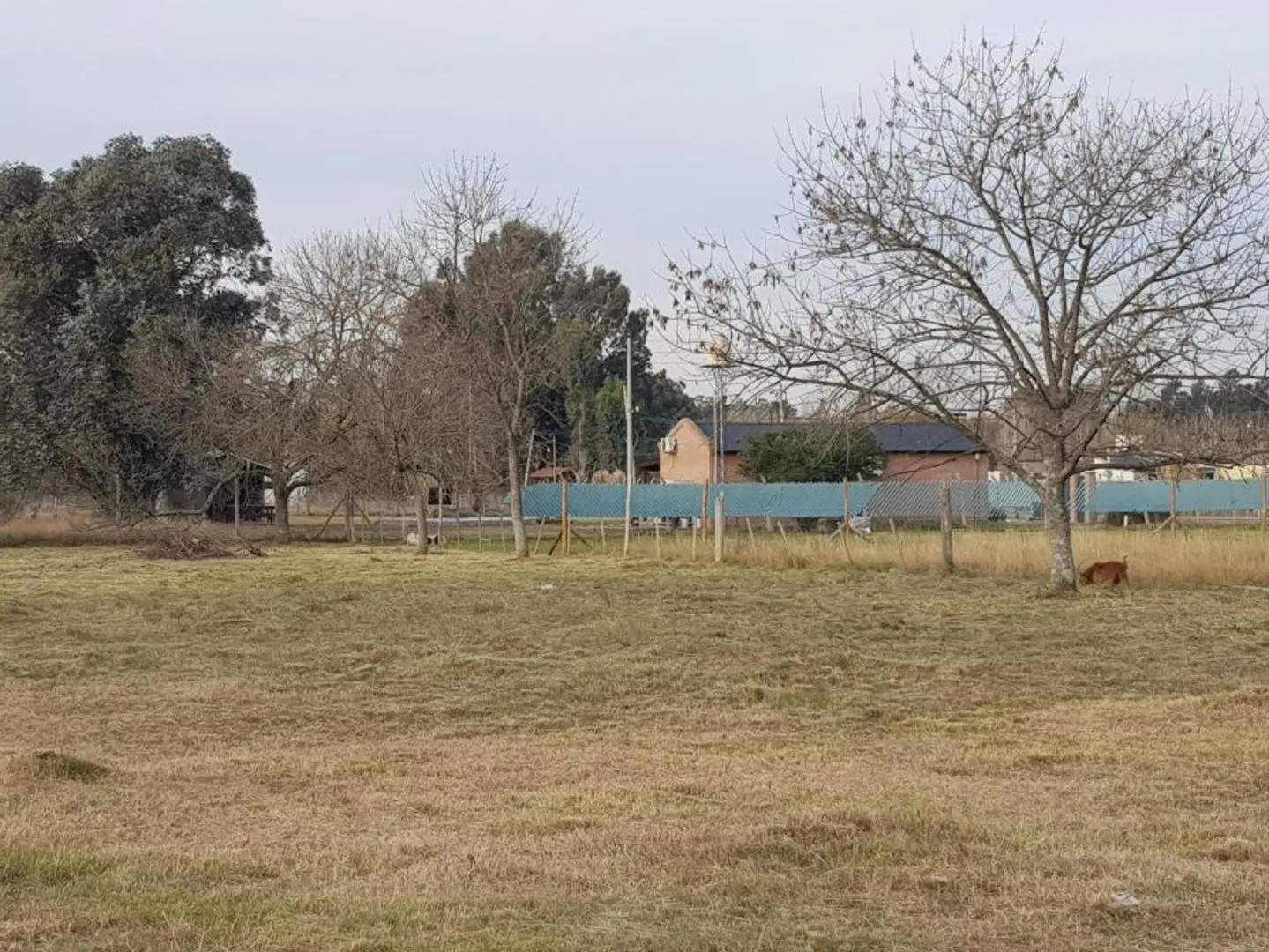 TERRENO EN VENTA 4