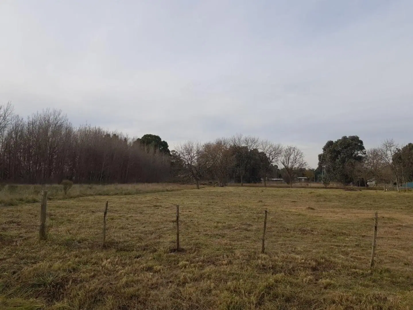 TERRENO EN VENTA 3