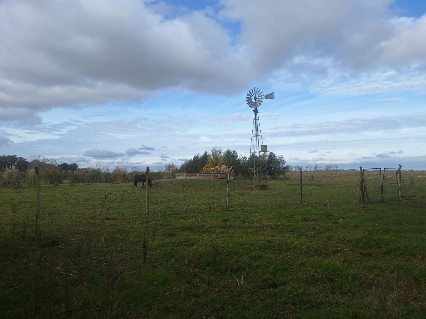 Campo en venta en San Vicente