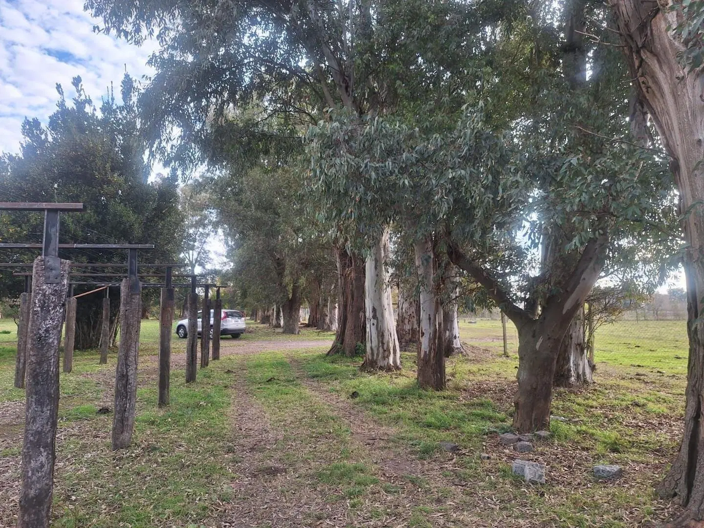 Campo en venta en San Vicente 5