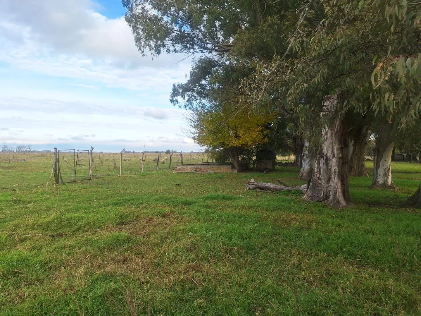 Campo en venta en San Vicente 1