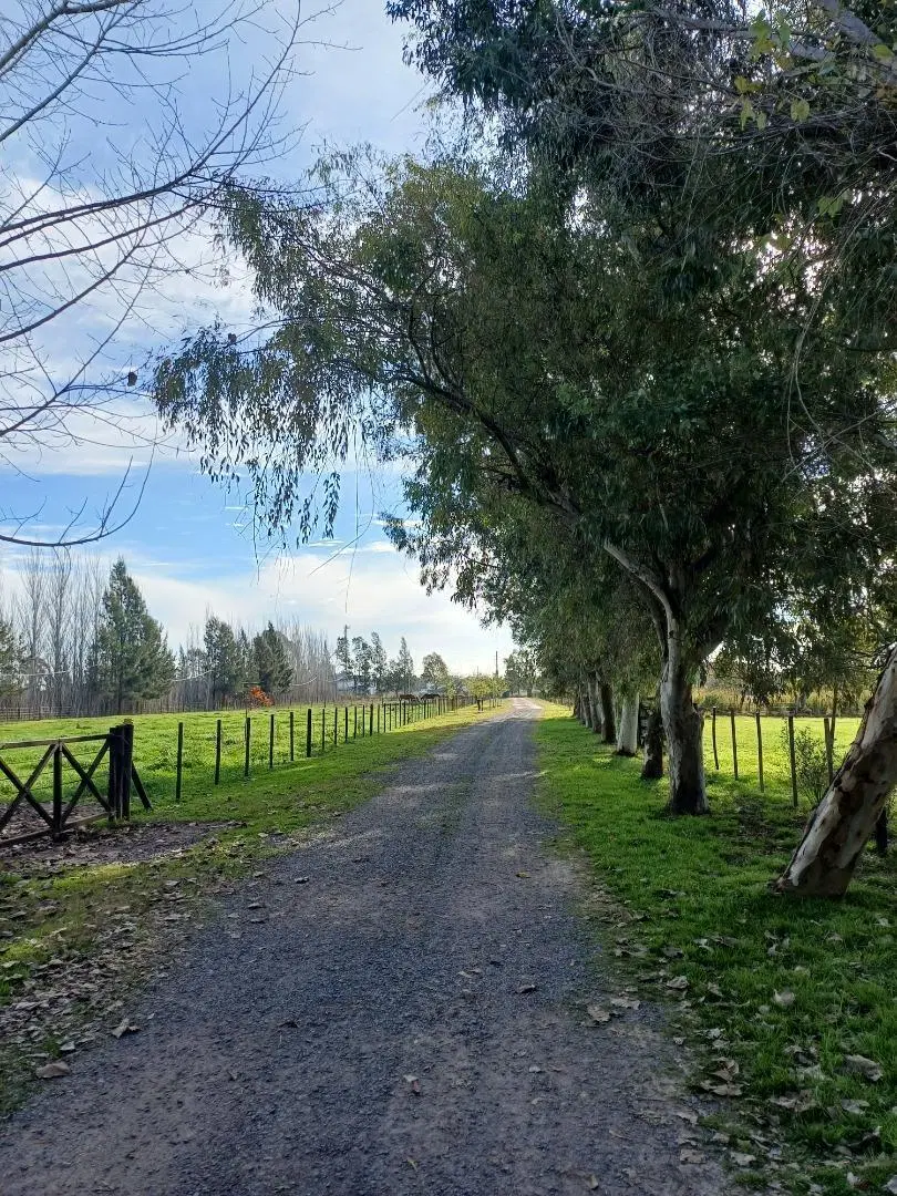 Excelente casa moderna en zona rural 4
