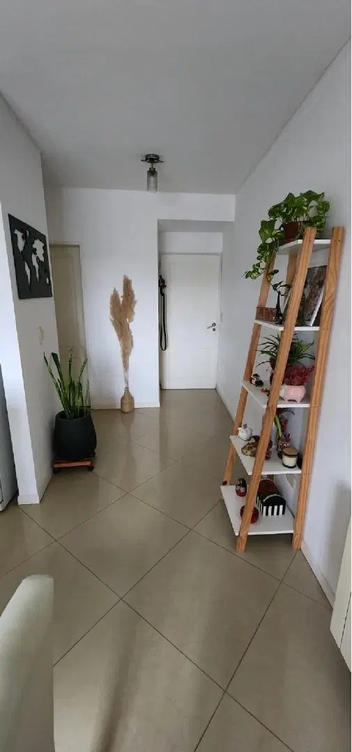Departamento para alquilar en Alto del Molino con parrilla 1