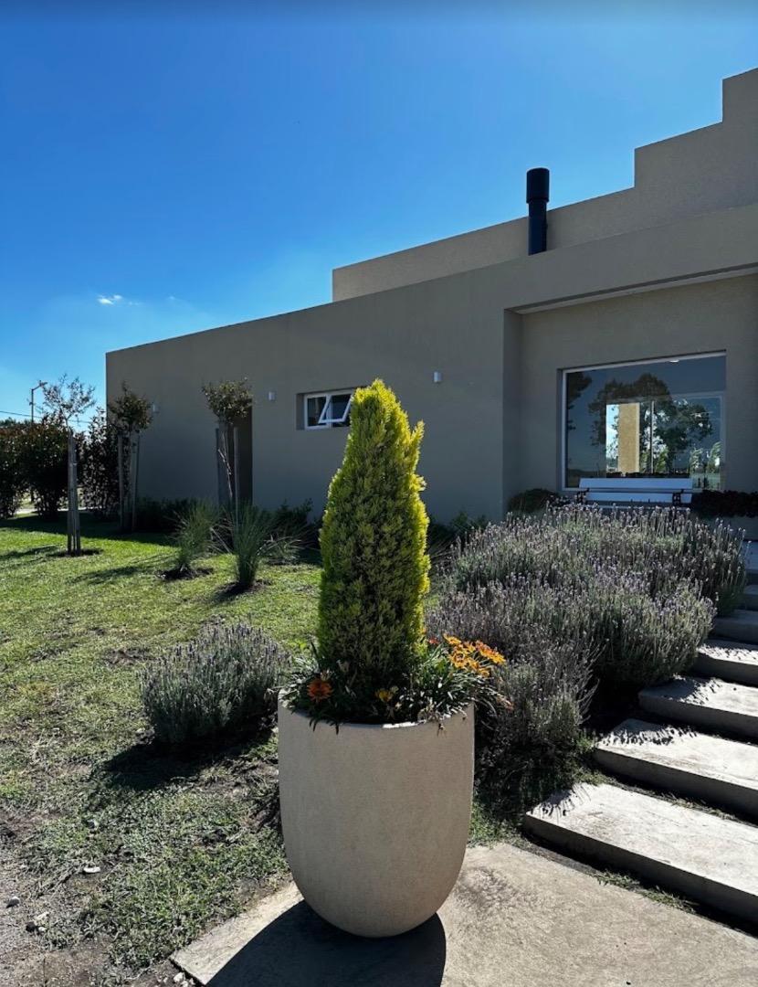 Foto de Venta terreno Fincas Joven, imagen 2