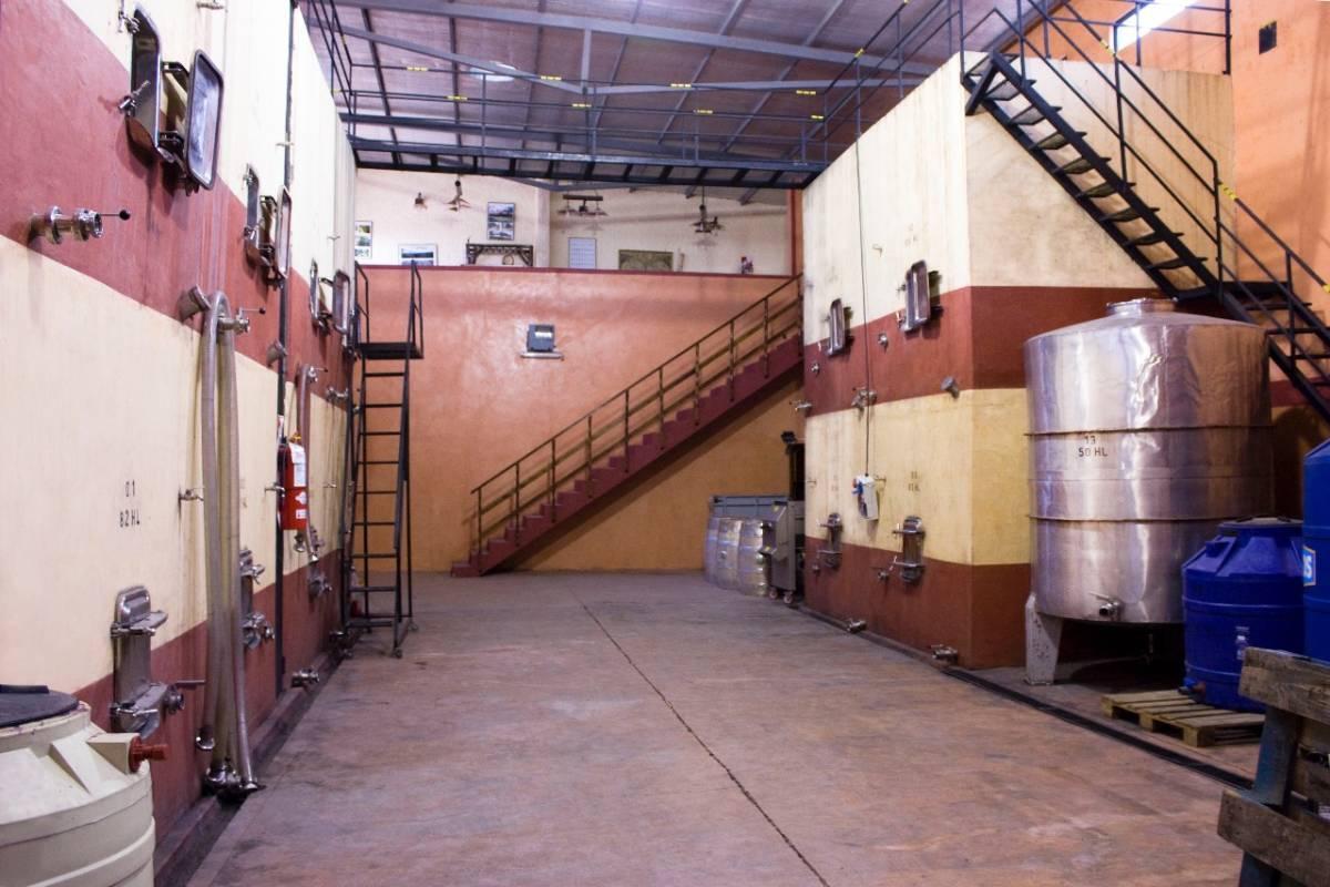 Venta de Bodega en Mendoza 4
