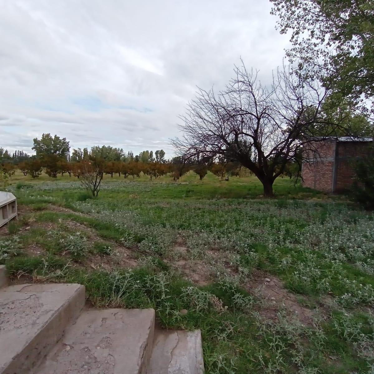 Finca en Venta con Casa, Quincho, Caballeriza. Colonia Elena, San Rafael 3