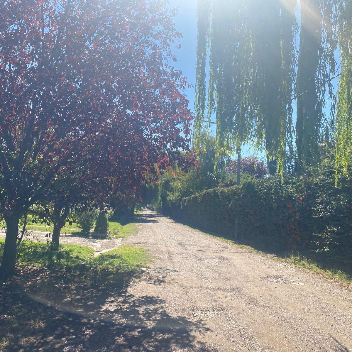 Se Vende Espectacular Lote en Pleno Corazón de Chacras de Coria! 2
