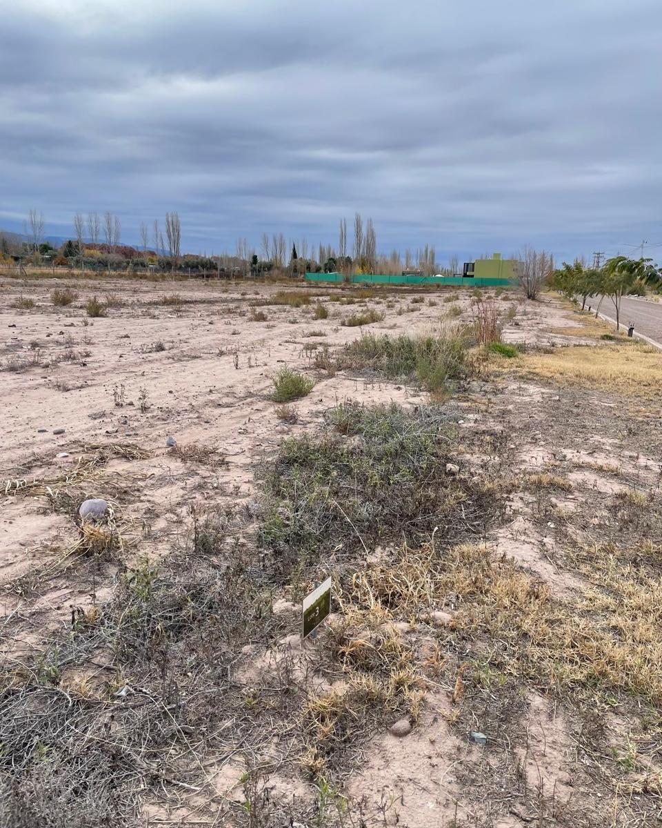 Lote en Venta en Bº Suelos de Olavarría, Perdriel, Luján de Cuyo ️ 3