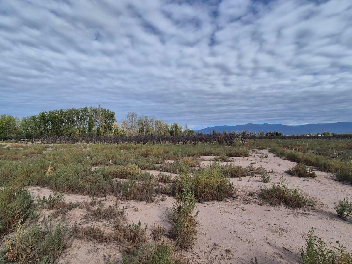 Se Vende Espectacular Finca en Maipú, a 500 Mtrs de Ruta 60! 4