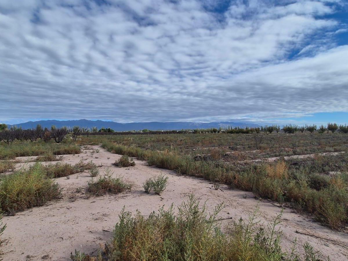 Se Vende Espectacular Finca en Maipú, a 500 Mtrs de Ruta 60! 2