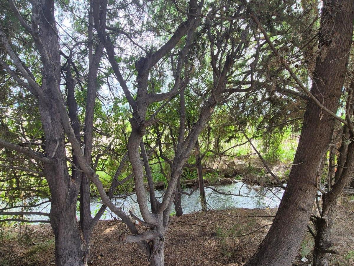 Se Vende Espectacular Finca en Maipú, a 500 Mtrs de Ruta 60! 3