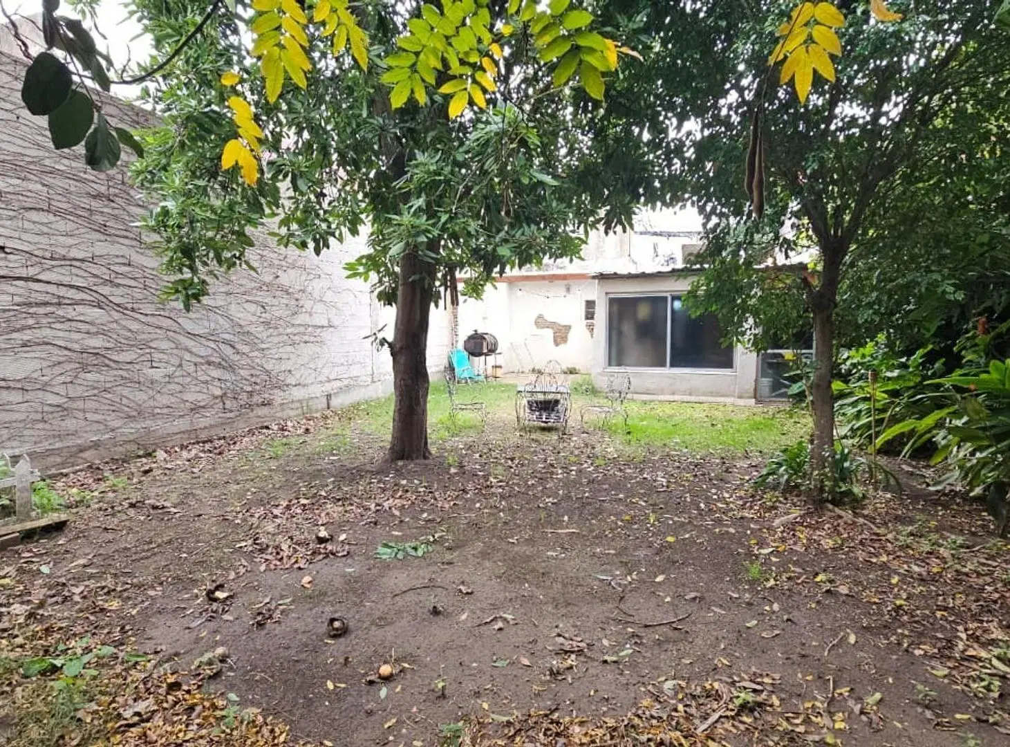 Casa Lote Propio 8,66 x 34 2