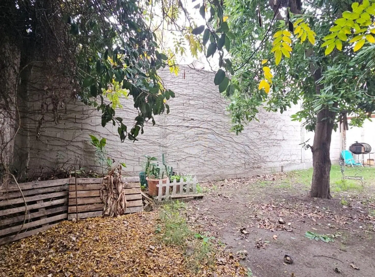 Casa Lote Propio 8,66 x 34 3