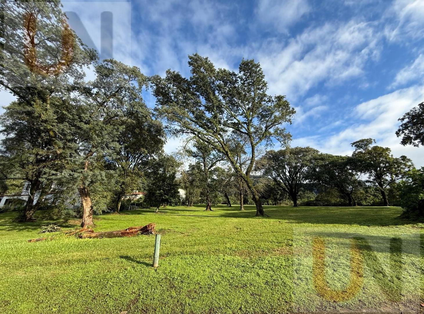 Foto de LOTE | Country Las Yungas, imagen 3
