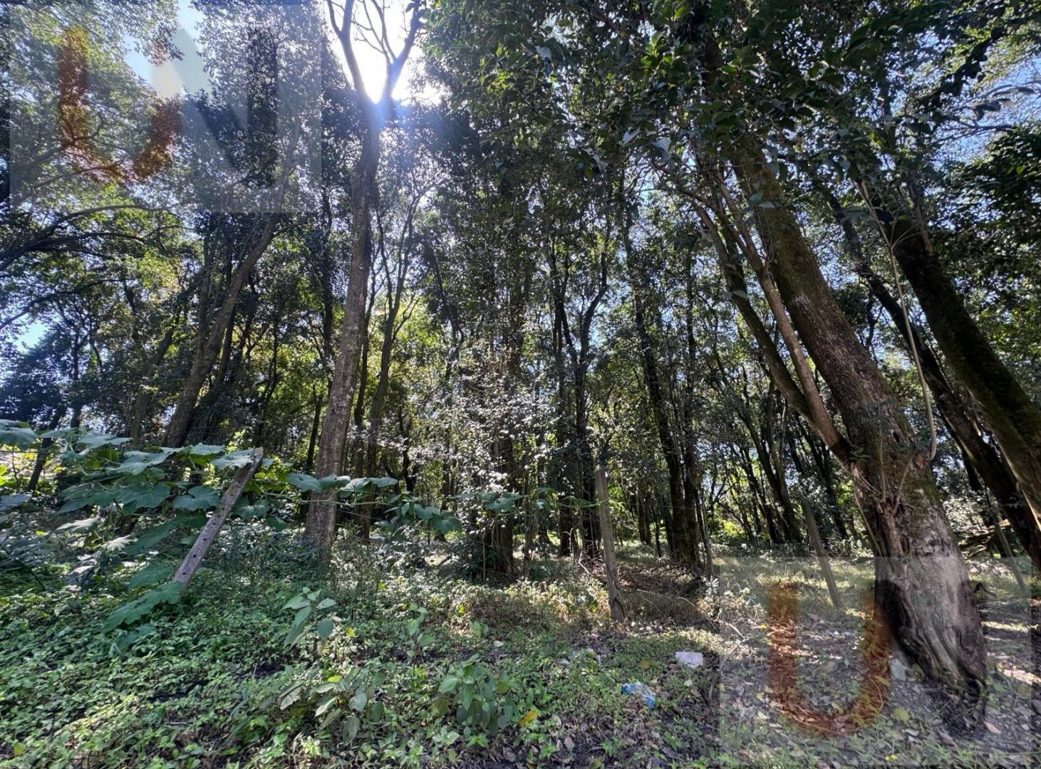 Foto de Terreno en El Corte, imagen 4
