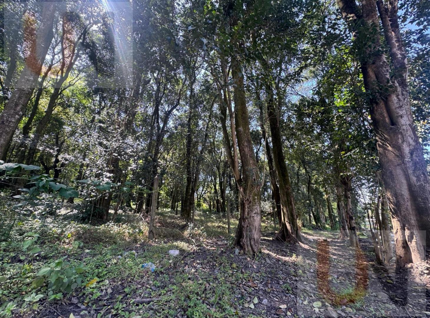 Foto de Terreno en El Corte, imagen 1