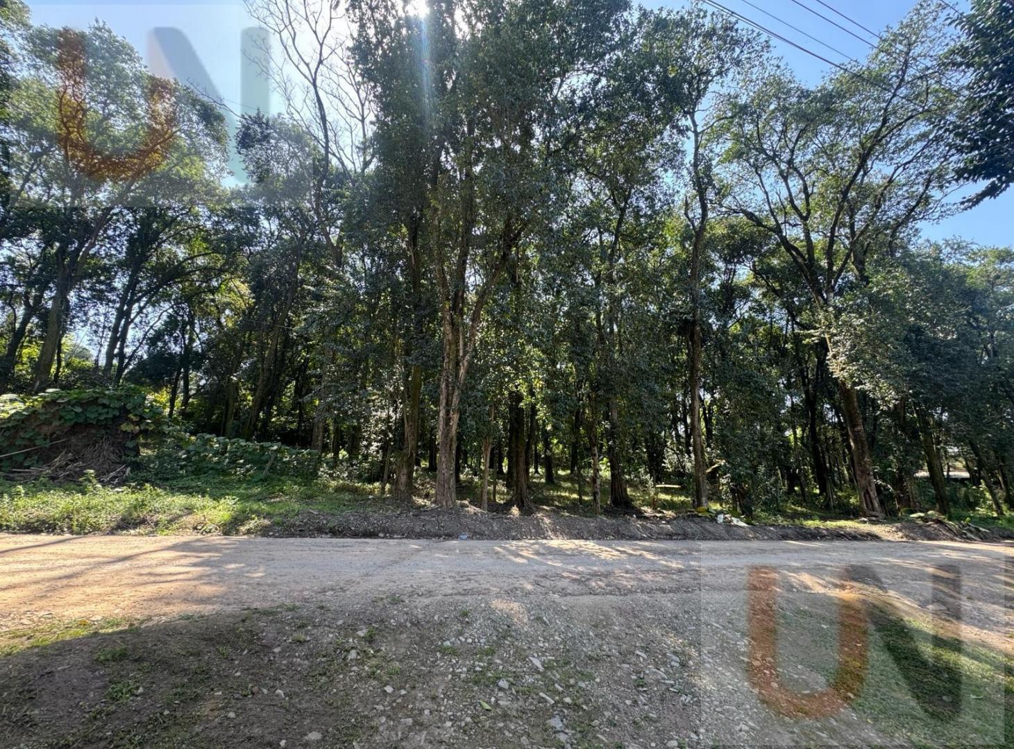 Foto de Terreno en El Corte, imagen 2
