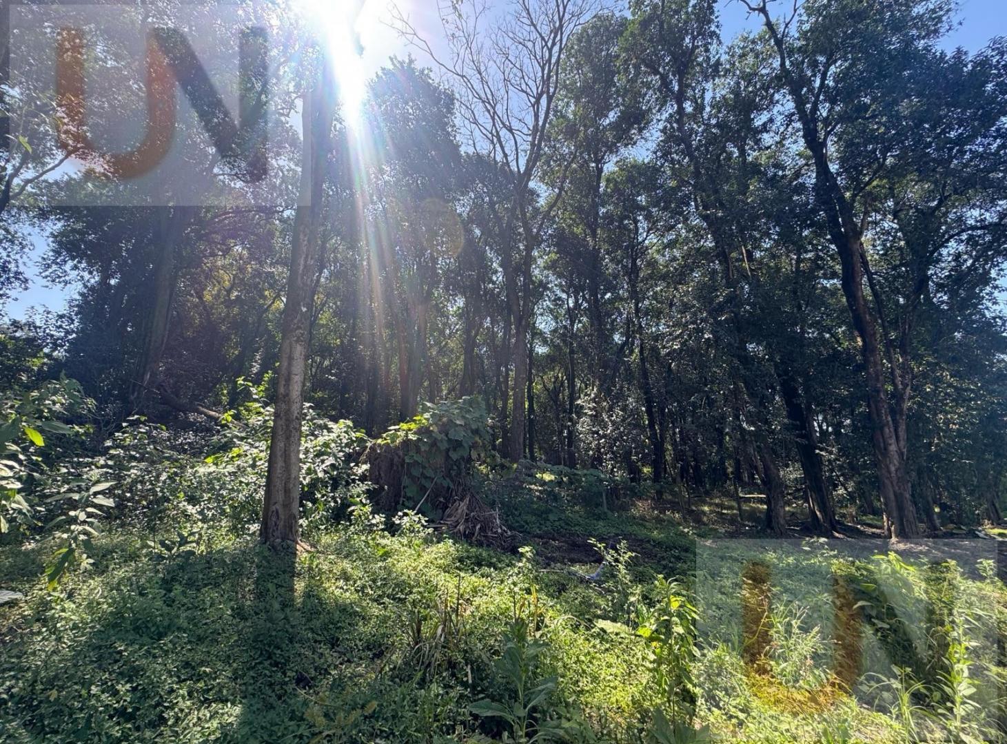 Foto de Terreno en El Corte, imagen 5