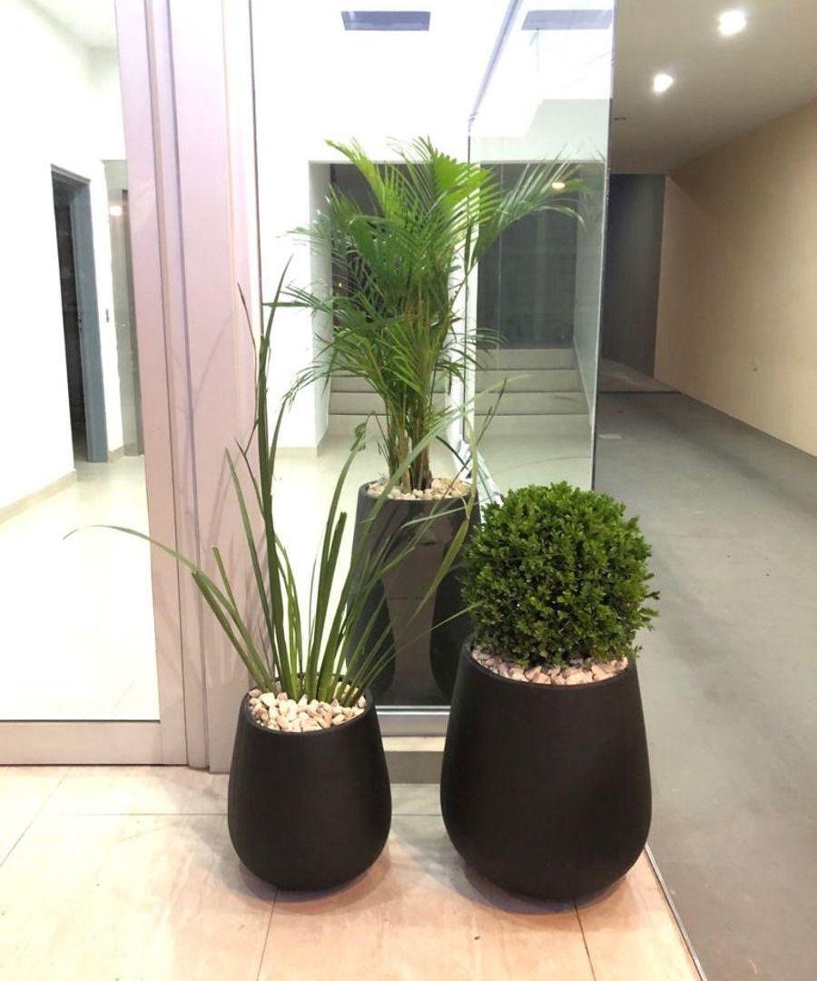 Foto de VENTA DEPARTAMENTO 2 AMBIENTES, imagen 5