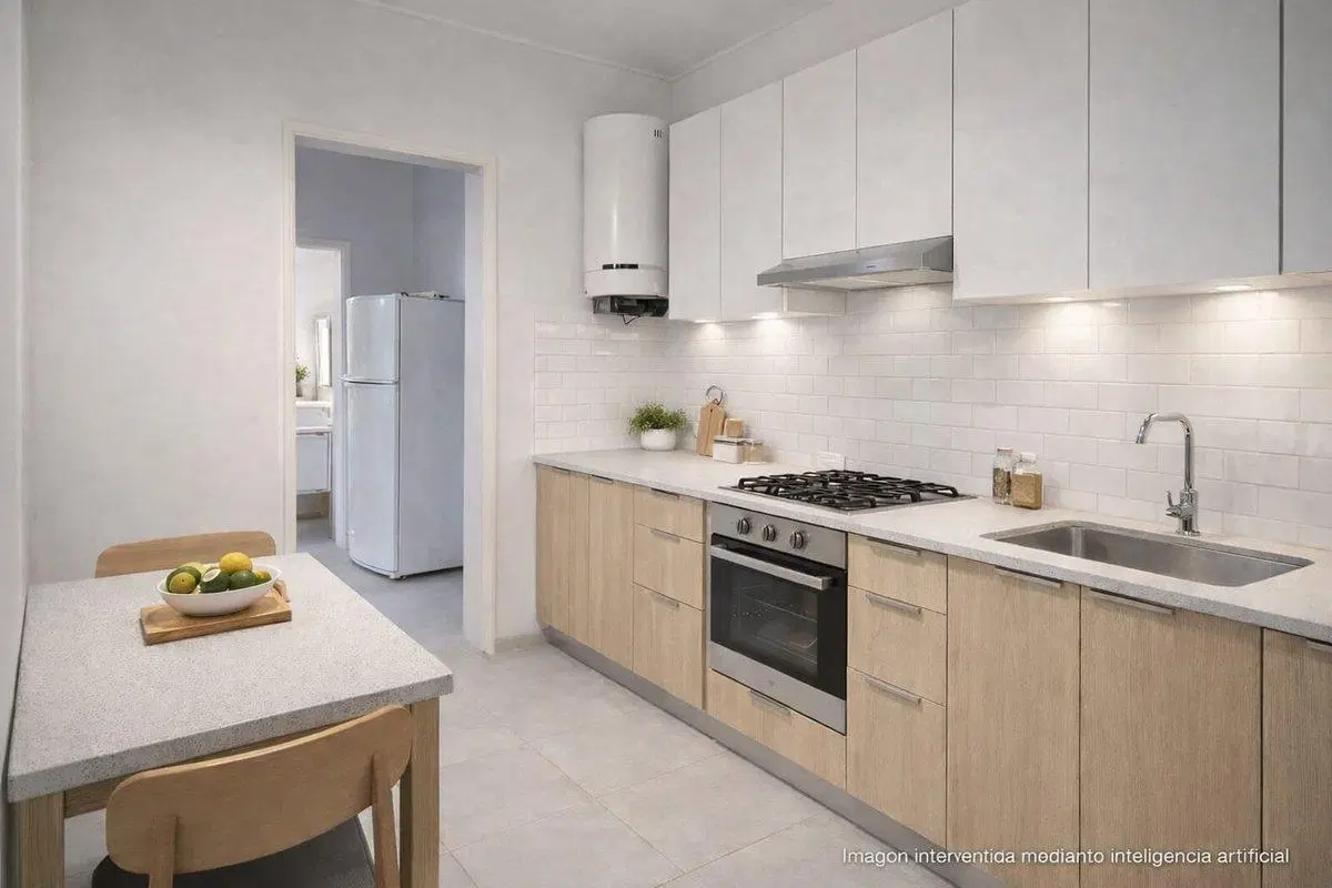 CASA  3 AMBIENTES JARDIN COCHERA TURDERA 3