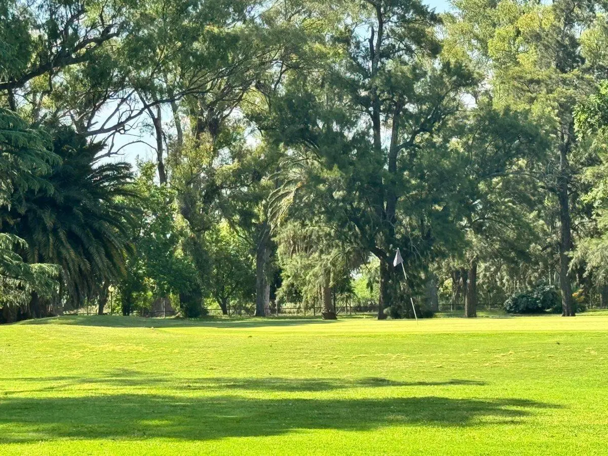 LOTE AL GOLF 1600 METROS COUNTRY SAN ELISEO 5