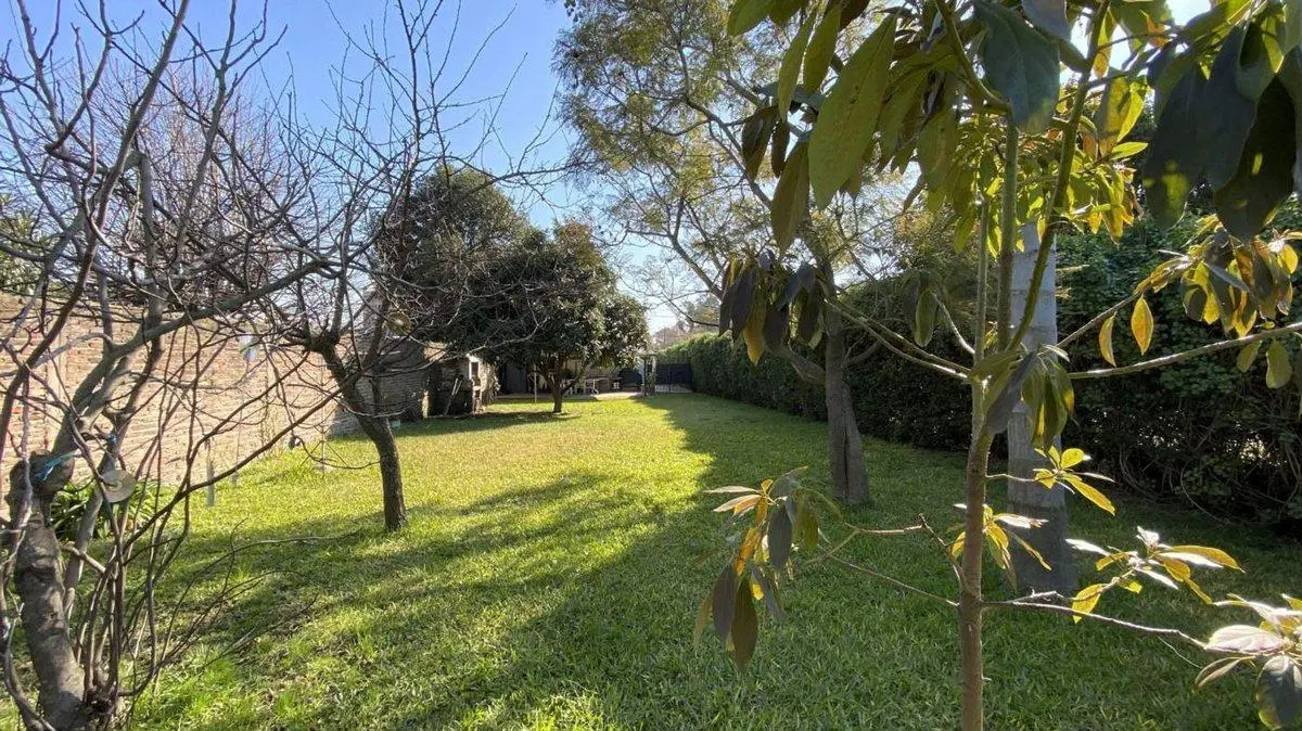 CASA 3 AMBIENTES LOTE PROPIO CON PARQUE Y QUINCHO 3