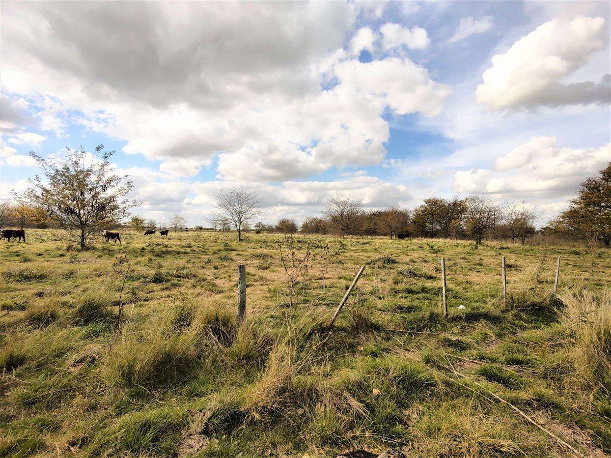 Foto de VENTA CAMPO MIXTO MARCOS PAZ 43 HECTAREAS, imagen 3
