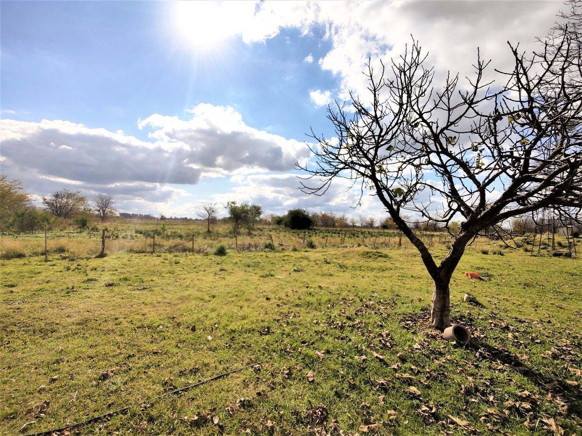 Foto de VENTA CAMPO MIXTO MARCOS PAZ 43 HECTAREAS, imagen 5