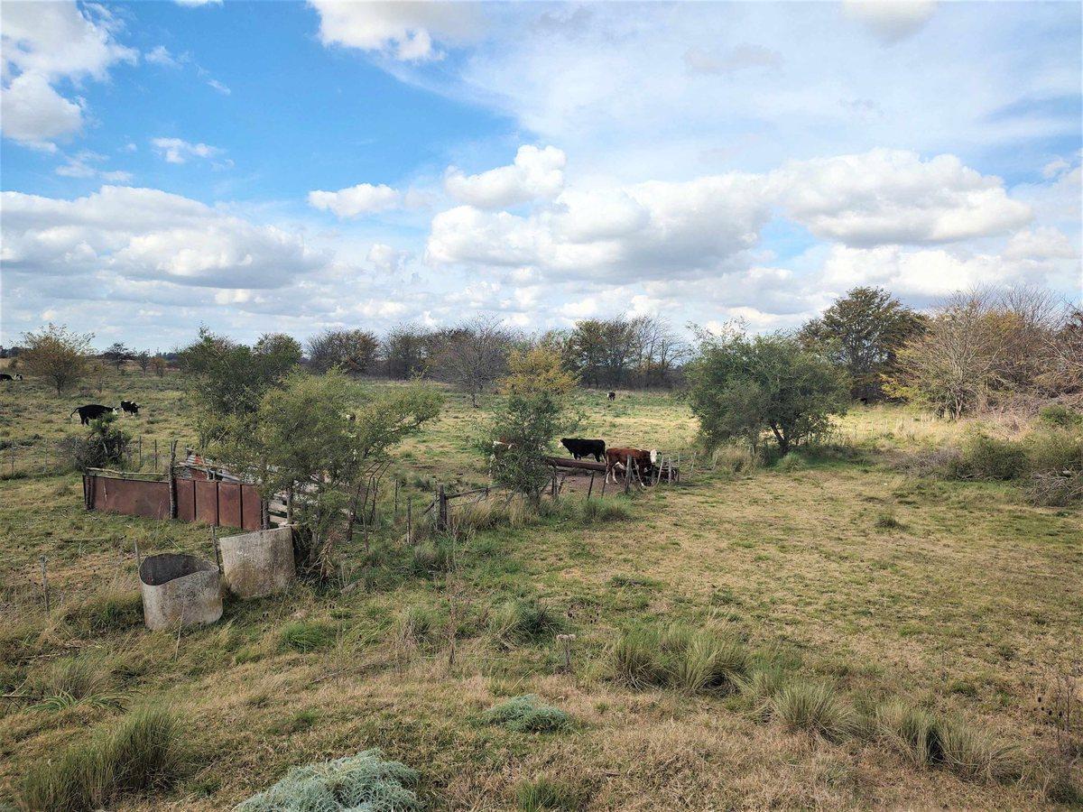 Foto de VENTA CAMPO MIXTO MARCOS PAZ 43 HECTAREAS, imagen 2