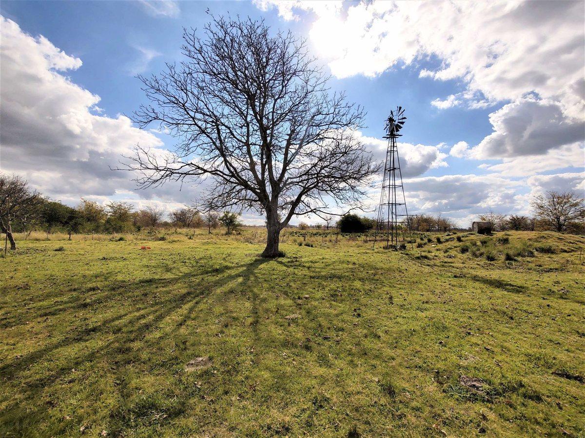 Foto de VENTA CAMPO MIXTO MARCOS PAZ 43 HECTAREAS, imagen 4