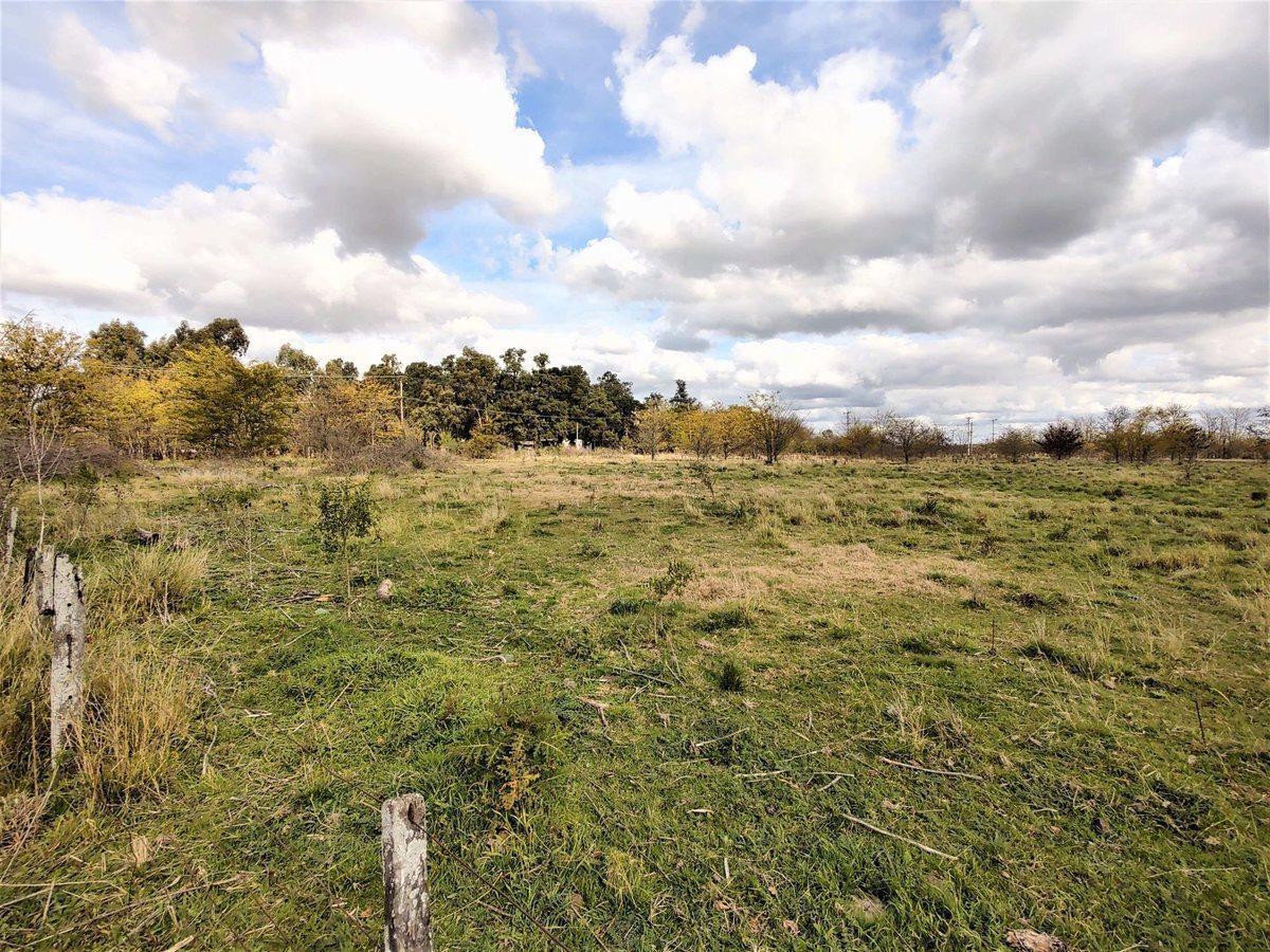 Foto de VENTA CAMPO MIXTO MARCOS PAZ 43 HECTAREAS, imagen 1