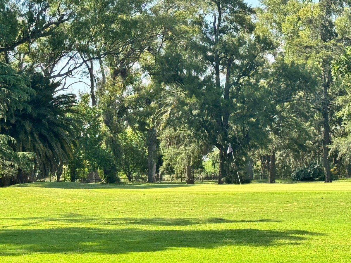 Foto de LOTE AL GOLF 1600 METROS COUNTRY SAN ELISEO, imagen 3