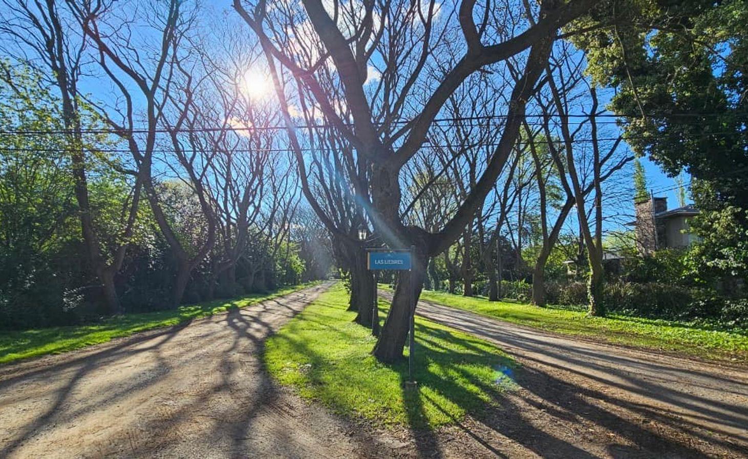 Foto de VENTA CASA 13.000 M2 CAMPOS DE ROCA 5 AMBIENTES, imagen 5