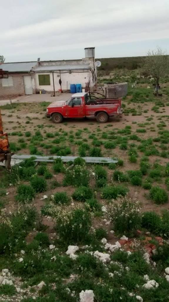 CAMPO GANADERO LA PAMPA