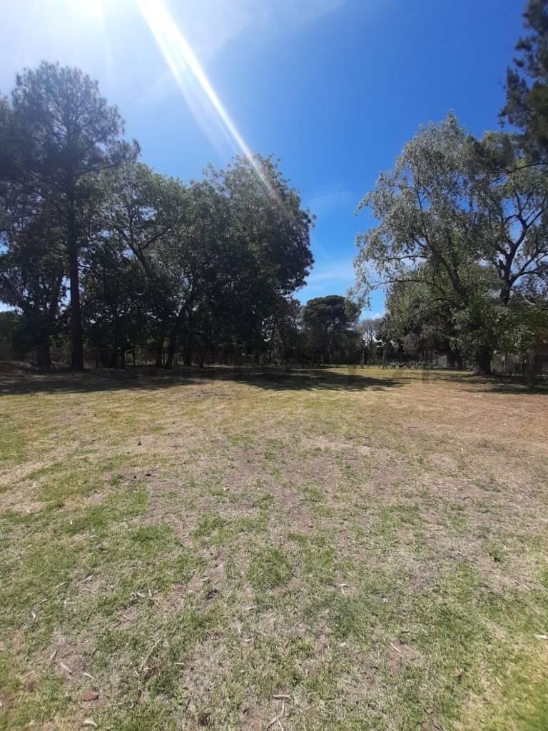 Lote Fincas Don Víctor 2