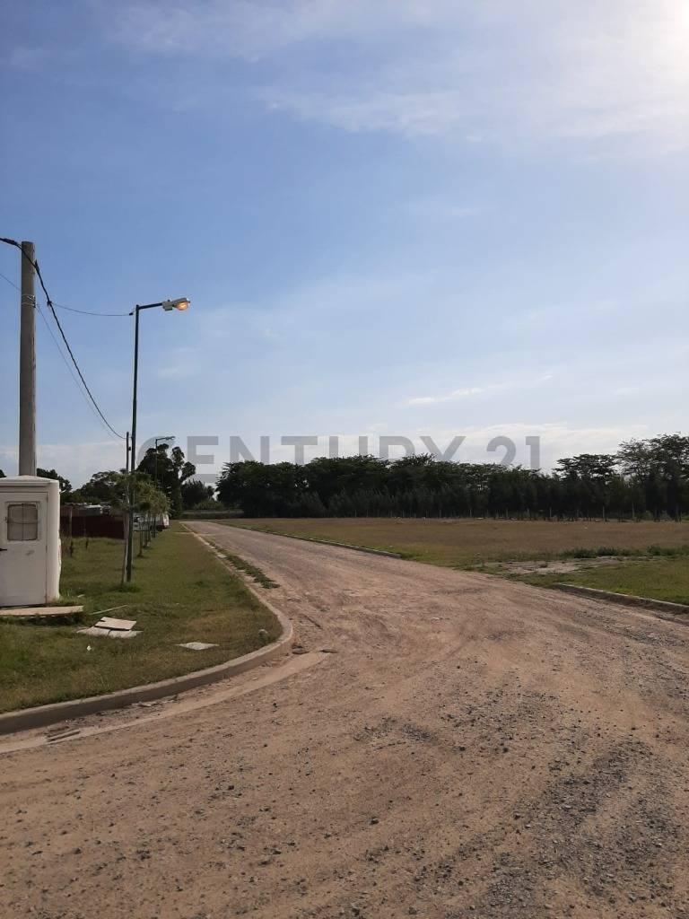 Foto de EL QUIMILAR, Lote de 427.5 m2., imagen 2