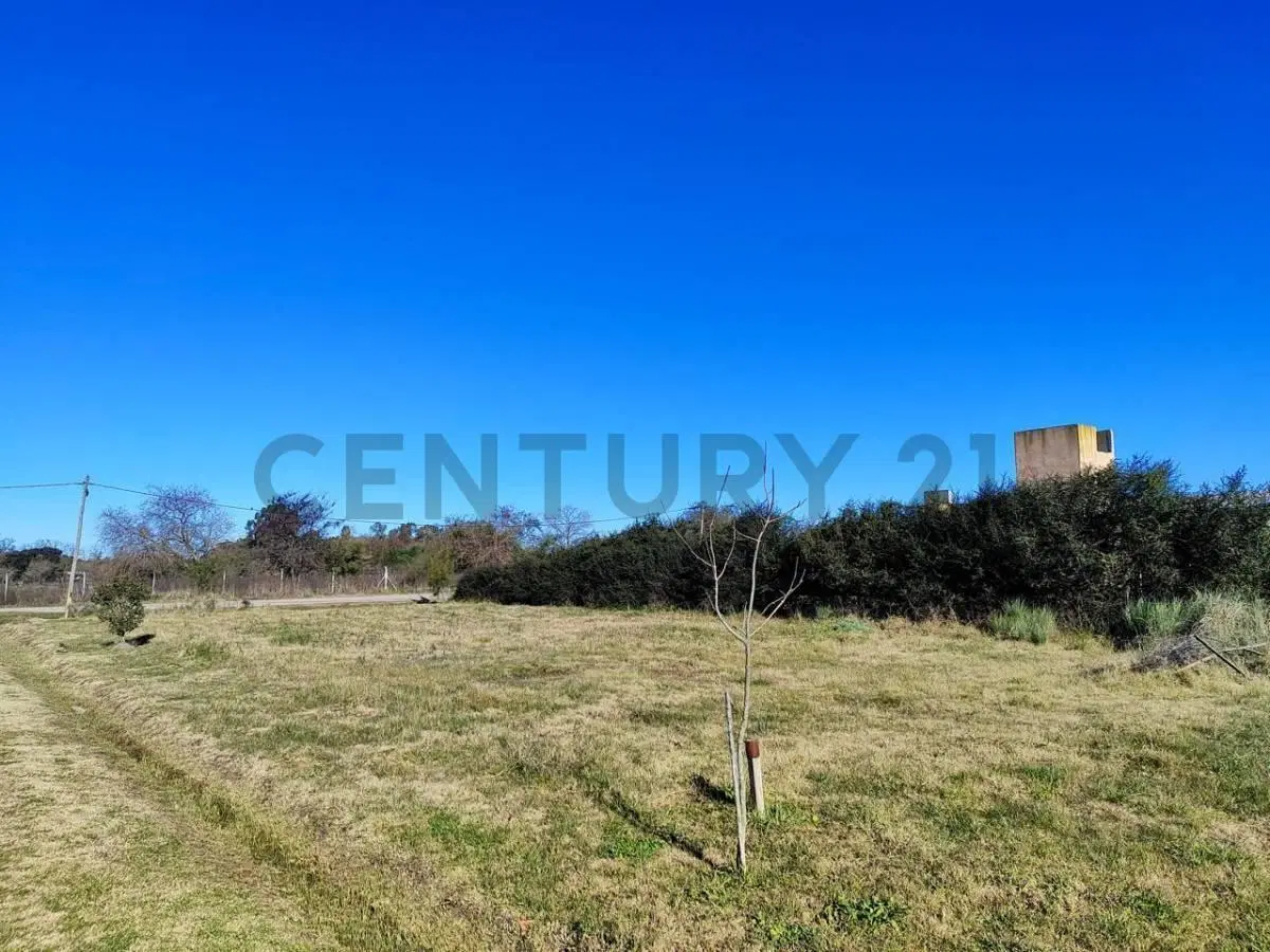 Lote en venta de 817 m2 en Barrio Rincon de Asis 2