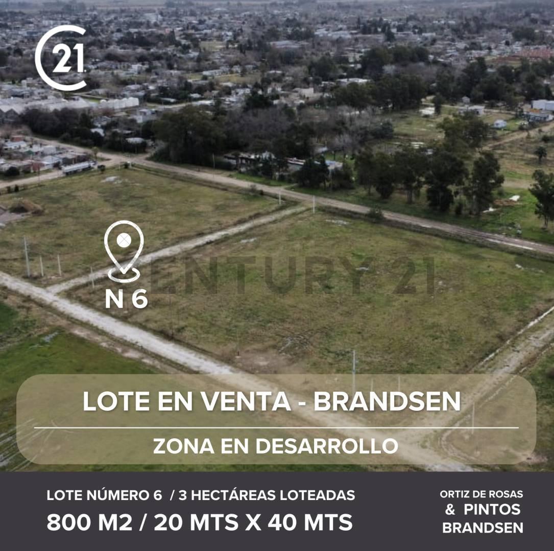 Foto de LOTE EN VENTA EN BRANDSEN (N6), imagen 4