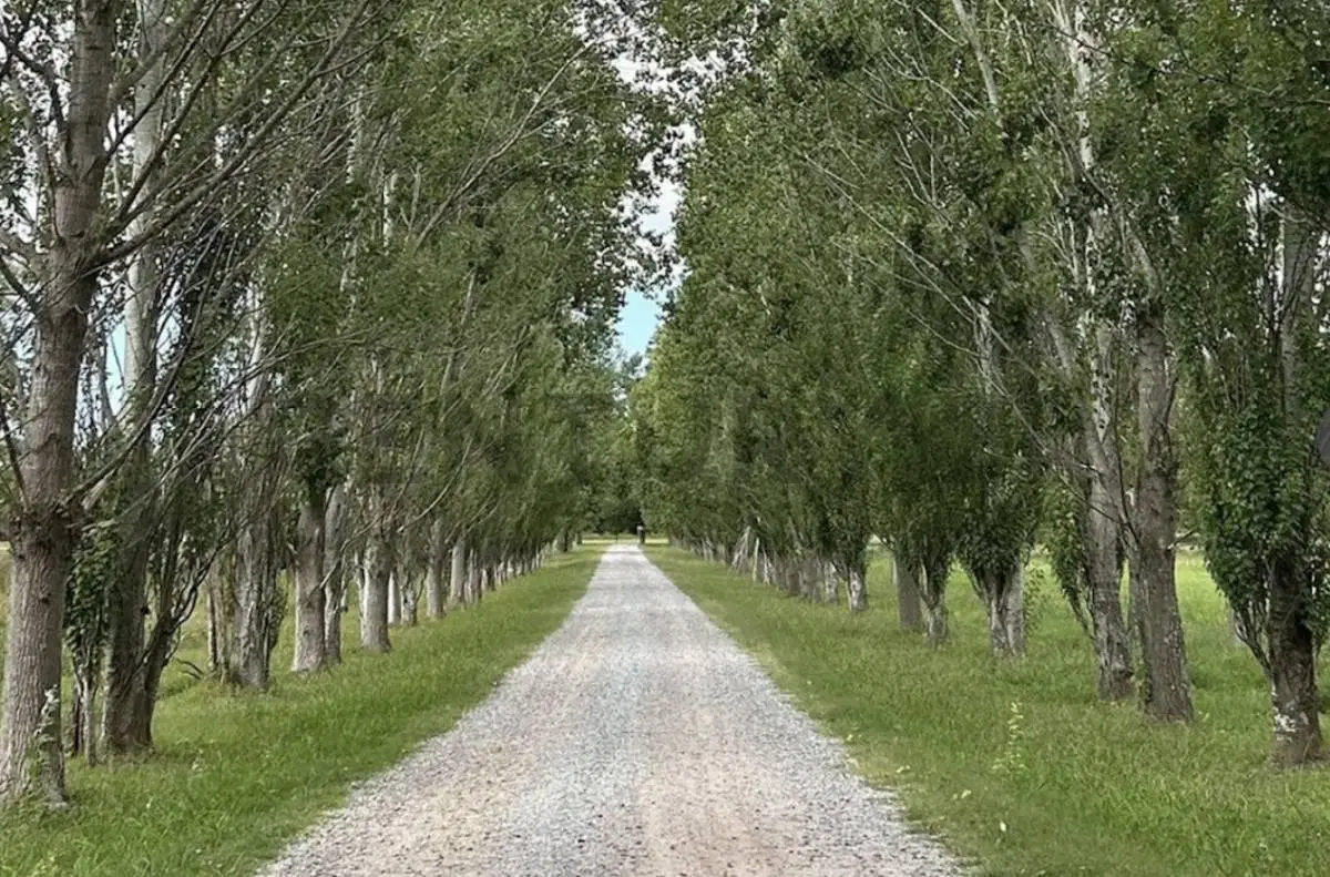 LOTE EN VENTA EN ESTANCIA MALVINAS II, BRANDSEN 4